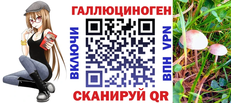 дарк нет наркотические препараты  omg   Красный Холм  Галлюциногенные грибы GOLDEN TEACHER 
